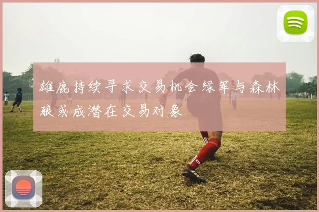 雄鹿持续寻求交易机会绿军与森林狼或成潜在交易对象